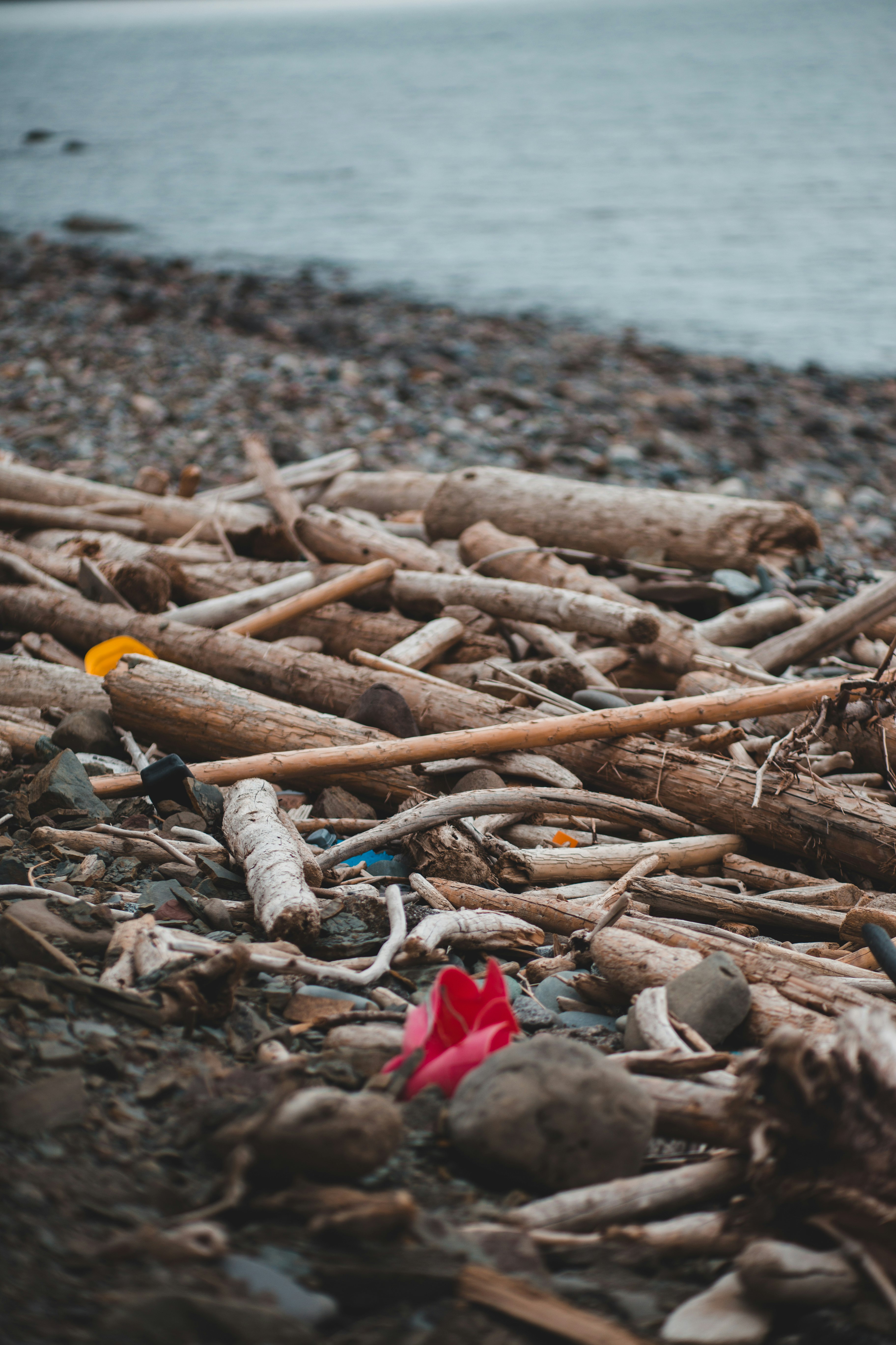 brown wooden stick on brown sand near body of water during daytime